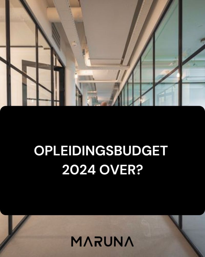 opleidingsbudget